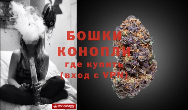 стафф Снежногорск